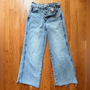 PacSun Light Denim Baggy Jean Size 24